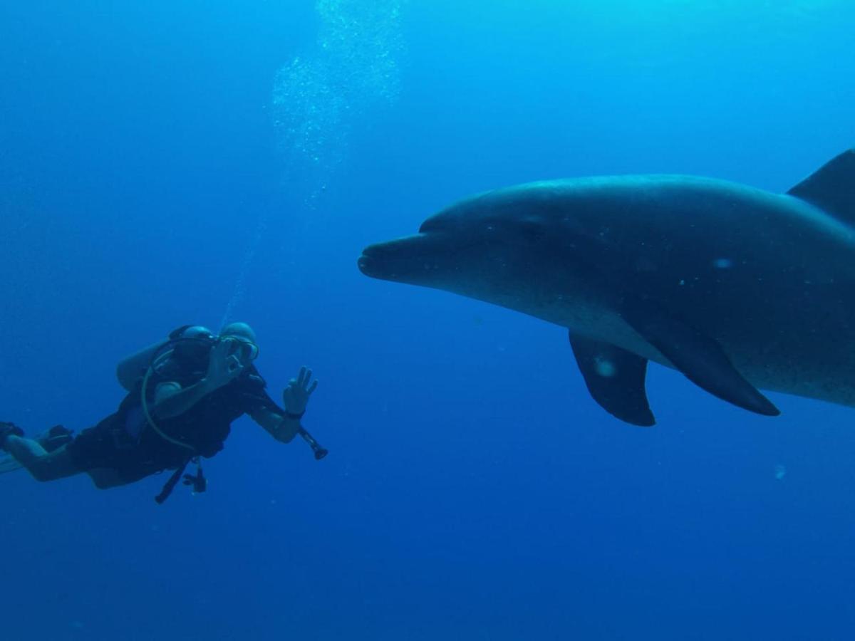 Blue Vision Diving Hotel Marsa Alam Exterior foto