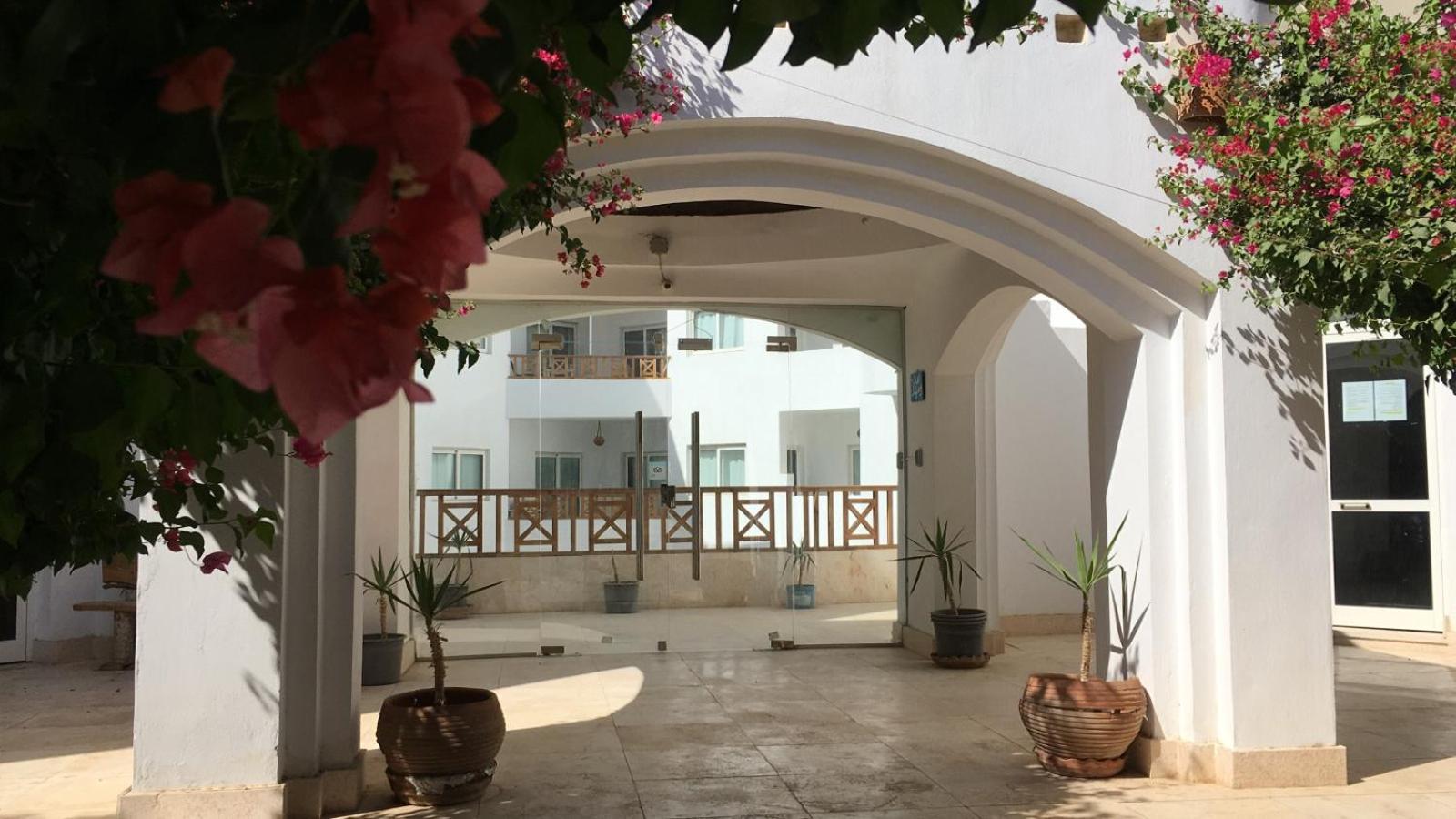 Blue Vision Diving Hotel Marsa Alam Exterior foto