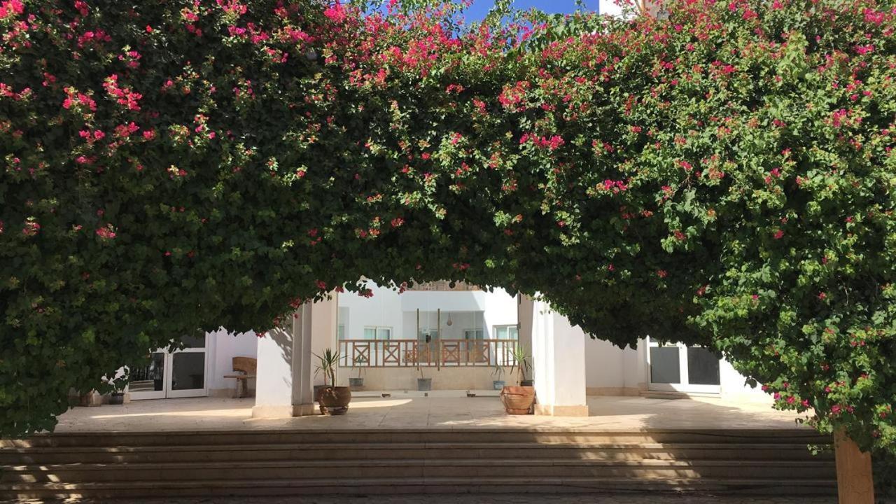 Blue Vision Diving Hotel Marsa Alam Exterior foto